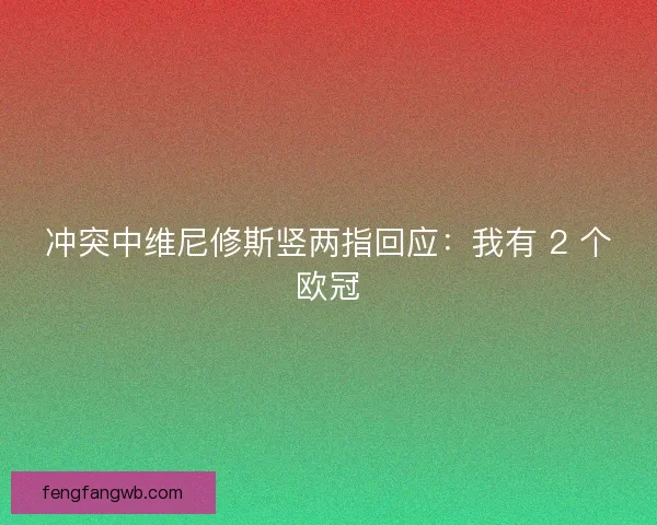 冲突中维尼修斯竖两指回应：我有 2 个欧冠