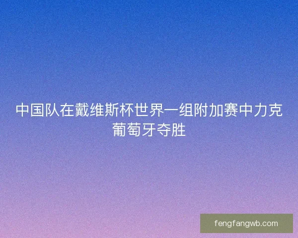 中国队在戴维斯杯世界一组附加赛中力克葡萄牙夺胜
