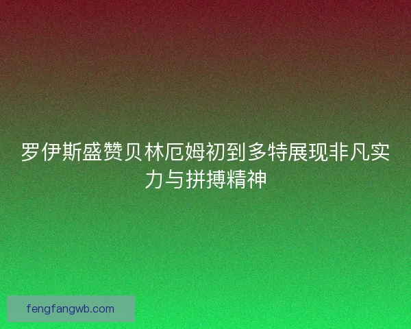 罗伊斯盛赞贝林厄姆初到多特展现非凡实力与拼搏精神