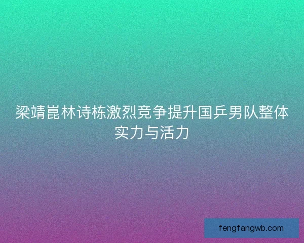 梁靖崑林诗栋激烈竞争提升国乒男队整体实力与活力