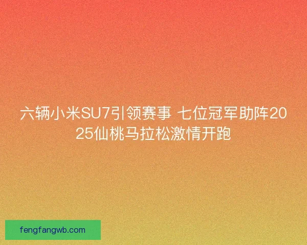 六辆小米SU7引领赛事 七位冠军助阵2025仙桃马拉松激情开跑 六辆小米SU7引领赛事 七位冠军助阵2025仙桃马拉松激情开跑
